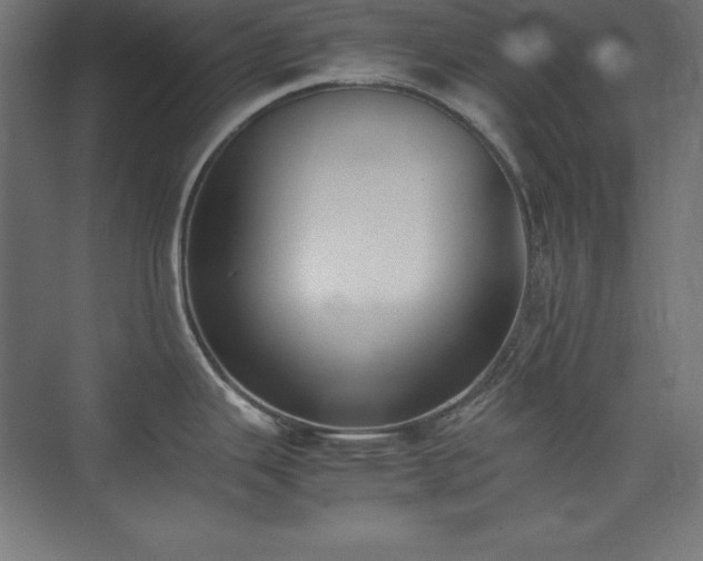 X0000074971343200609011206