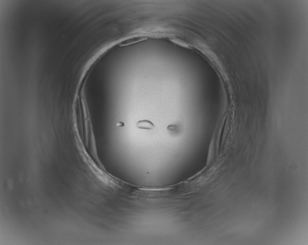 X0000074971344200609011206