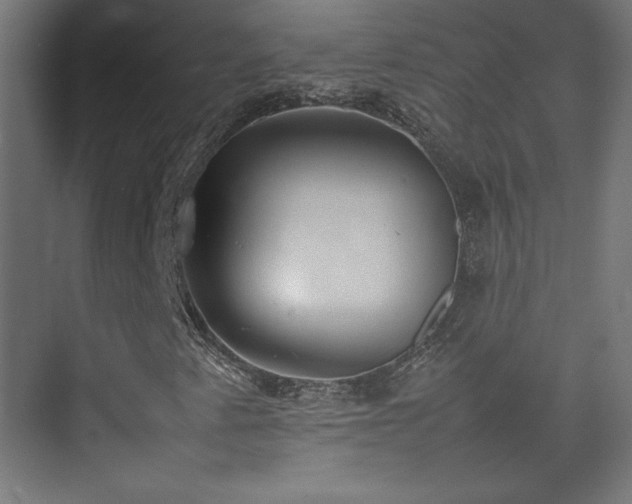 X0000074971345200609011205