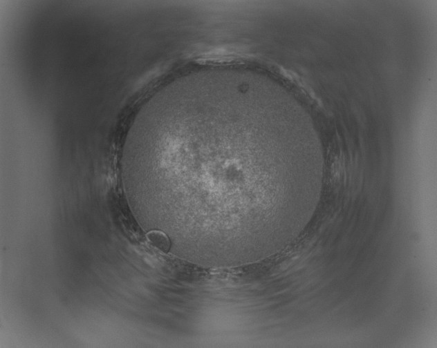 X0000074971350200609011205