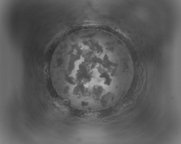 X0000074971351200609011205