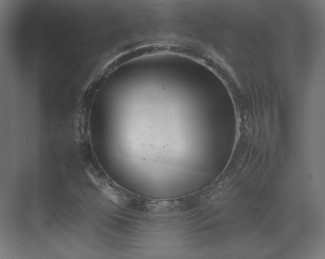 X0000074971352200609011205