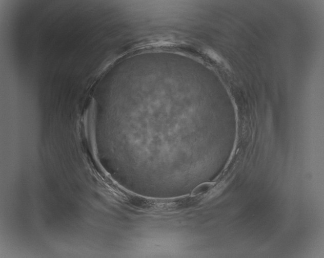 X0000074971353200609011205