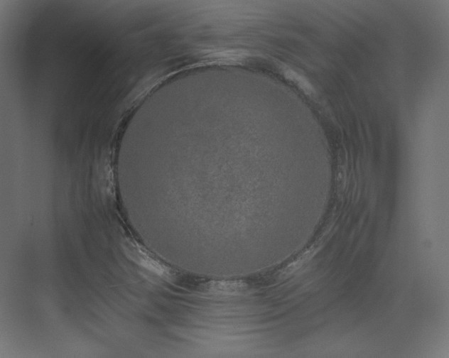 X0000074971354200609011205