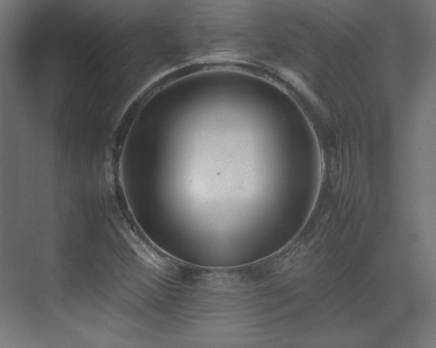 X0000074971356200609011205