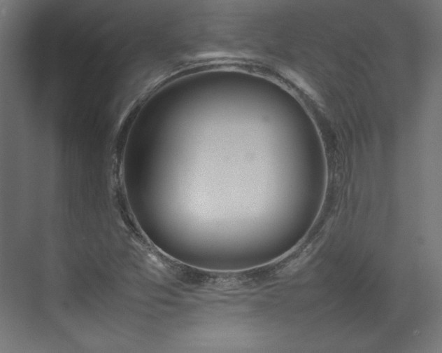 X0000074971357200609011205