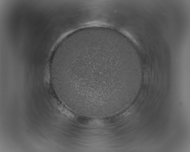 X0000074971358200609011205