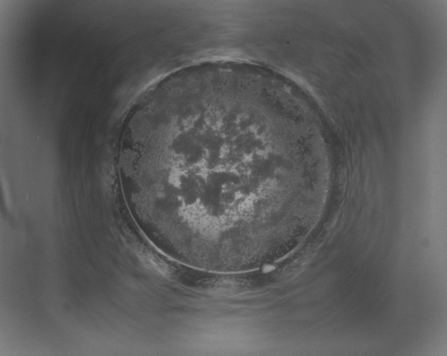 X0000074971359200609011205