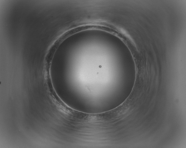 X0000074971360200609011205