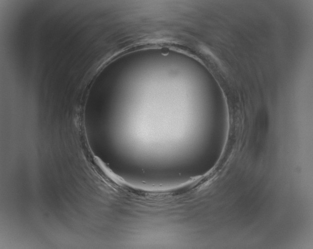 X0000074971361200609011205