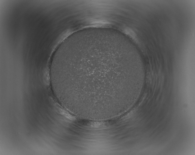 X0000074971362200609011205