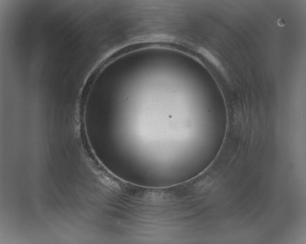 X0000074971364200609011205