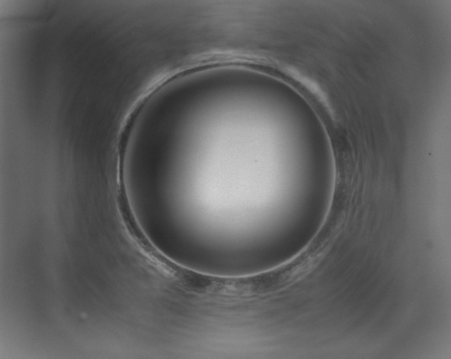 X0000074971365200609011205