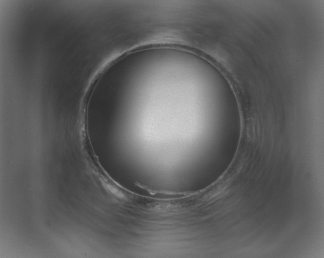 X0000074971366200609011205