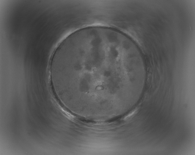 X0000074971367200609011205