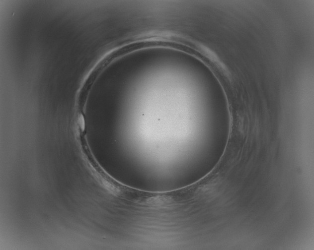 X0000074971368200609011205