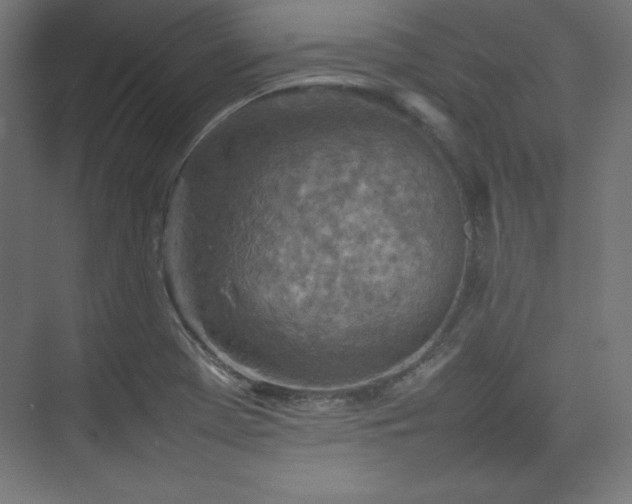 X0000074971369200609011205