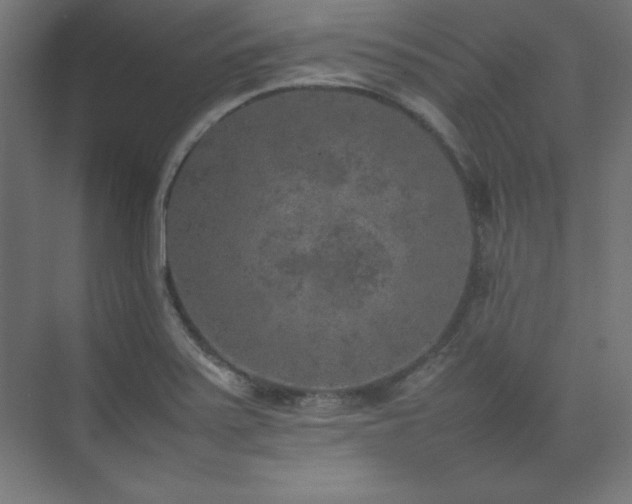 X0000074971371200609011205