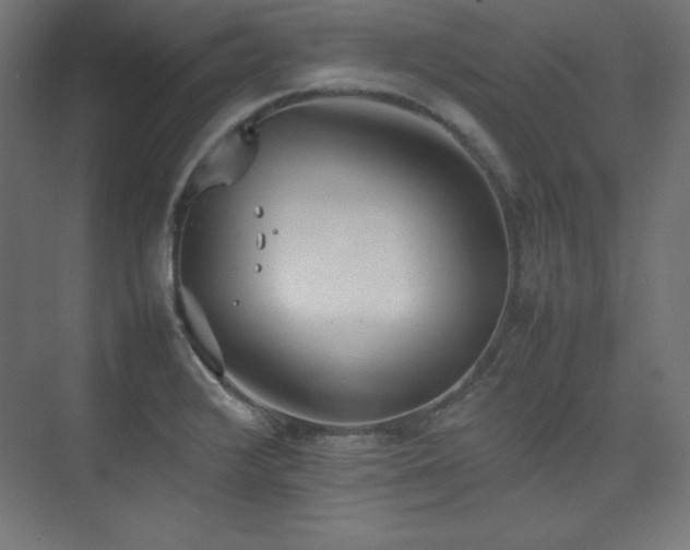 X0000074971376200609011204