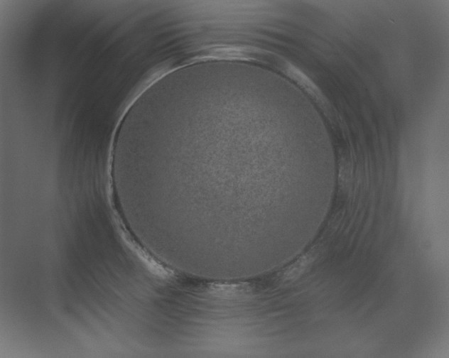 X0000074971378200609011204