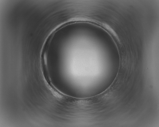 X0000074971380200609011204