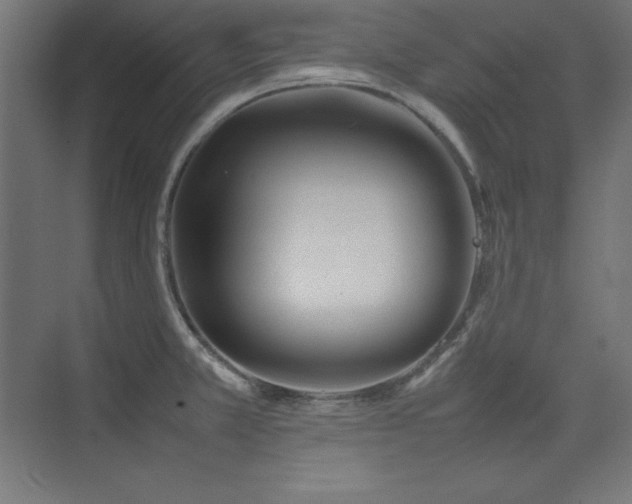 X0000074971381200609011204