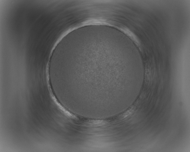 X0000074971382200609011204