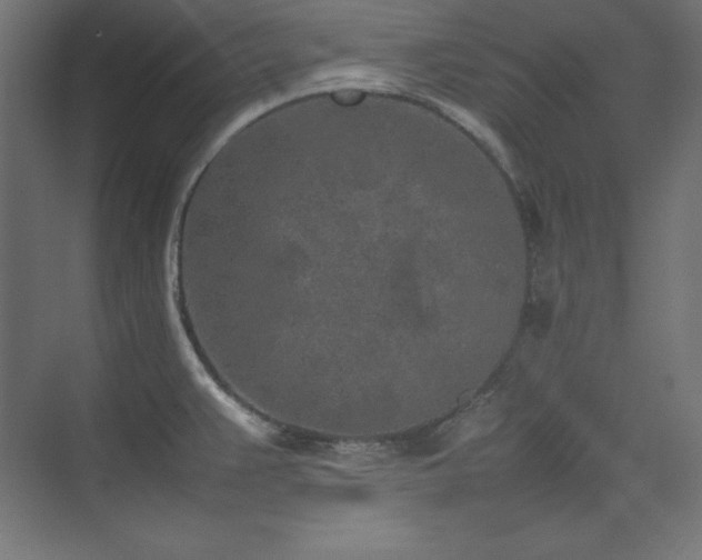 X0000074971383200609011204