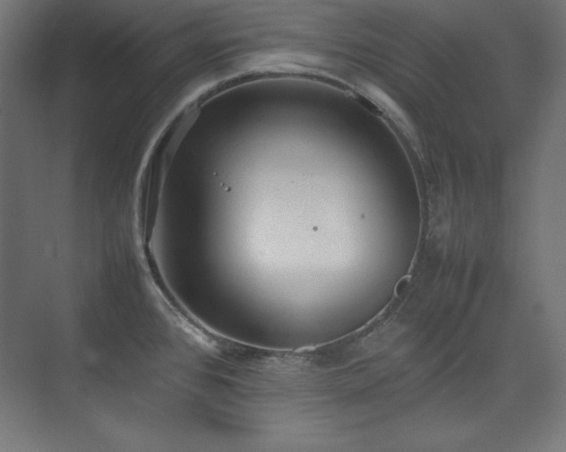 X0000074971384200609011204