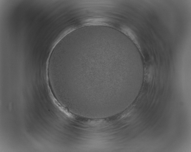 X0000074971386200609011204