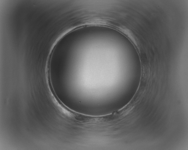 X0000074971387200609011204