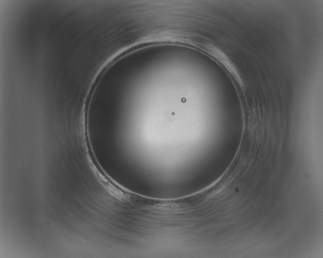 X0000074971388200609011204