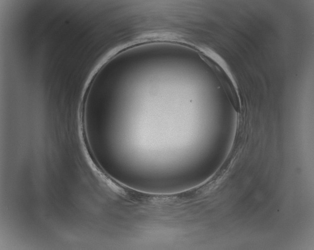 X0000074971389200609011204