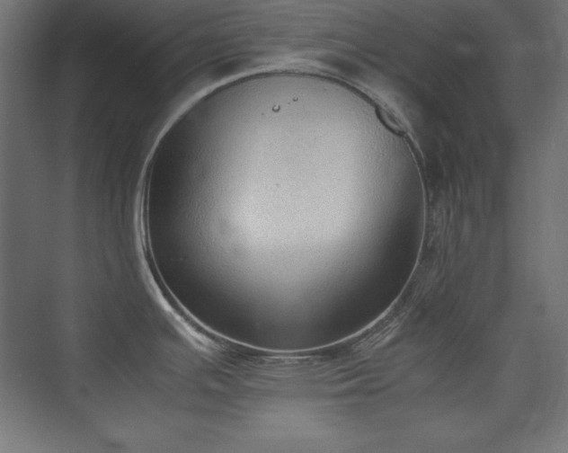 X0000074971391200609011204