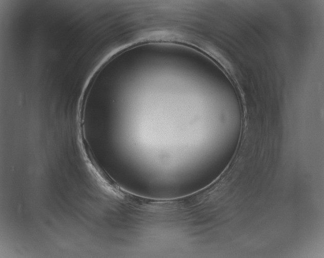 X0000074971392200609011204