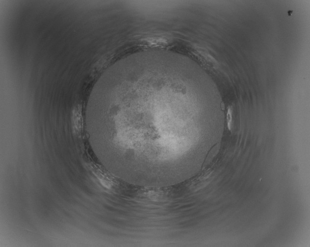 X0000074971395200609011203