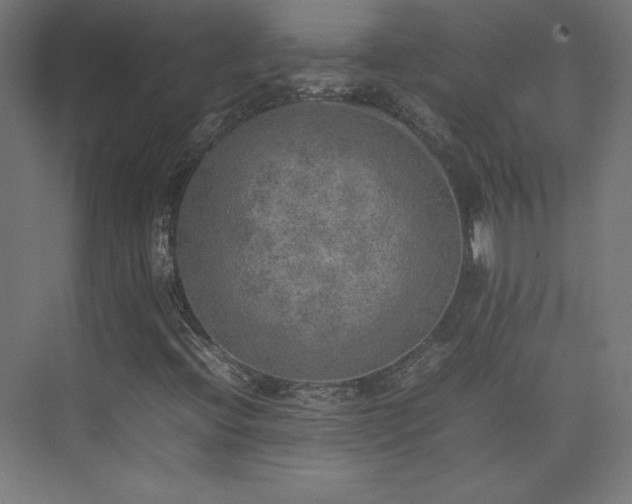 X0000074971396200609011203