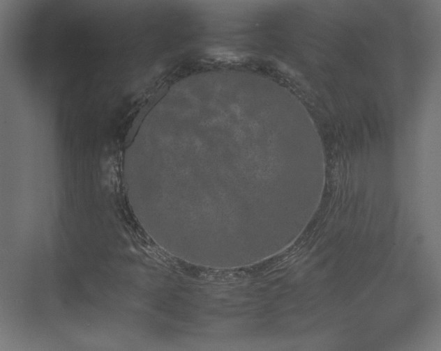 X0000074971397200609011203