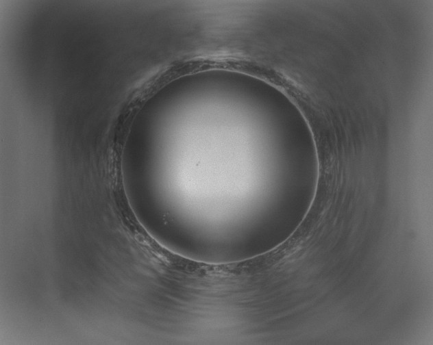 X0000074971398200609011203