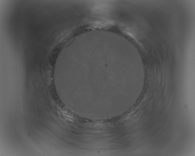 X0000074971399200609011204