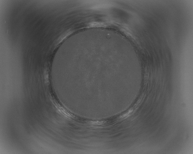 X0000074971401200609011204