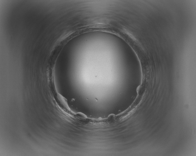 X0000074971402200609011204