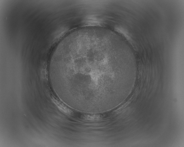 X0000074971403200609011204