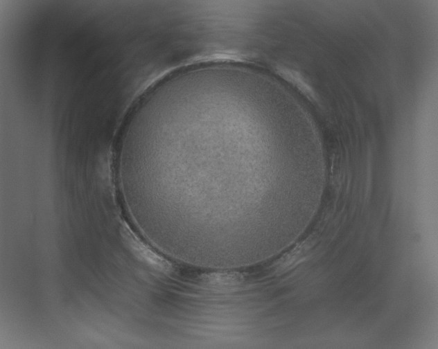 X0000074971404200609011204