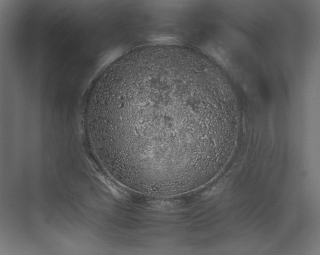 X0000074971405200609011204