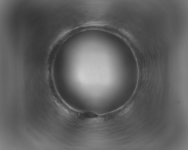 X0000074971406200609011204