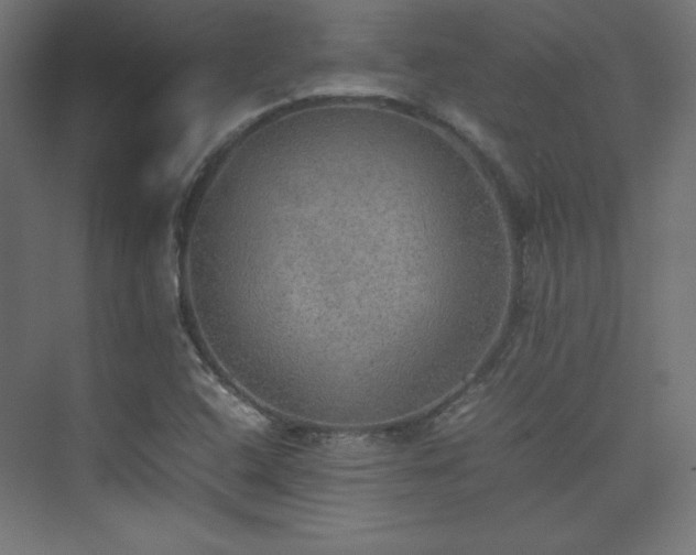 X0000074971408200609011204