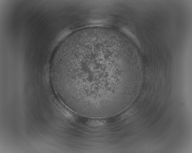 X0000074971411200609011204