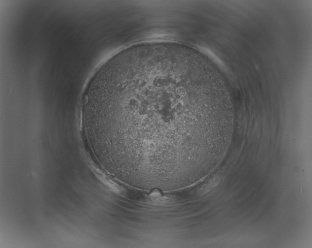 X0000074971413200609011204