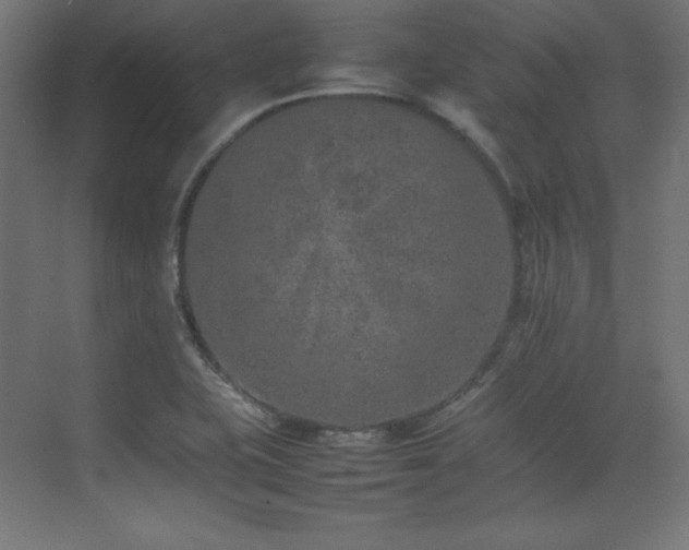 X0000074971415200609011204